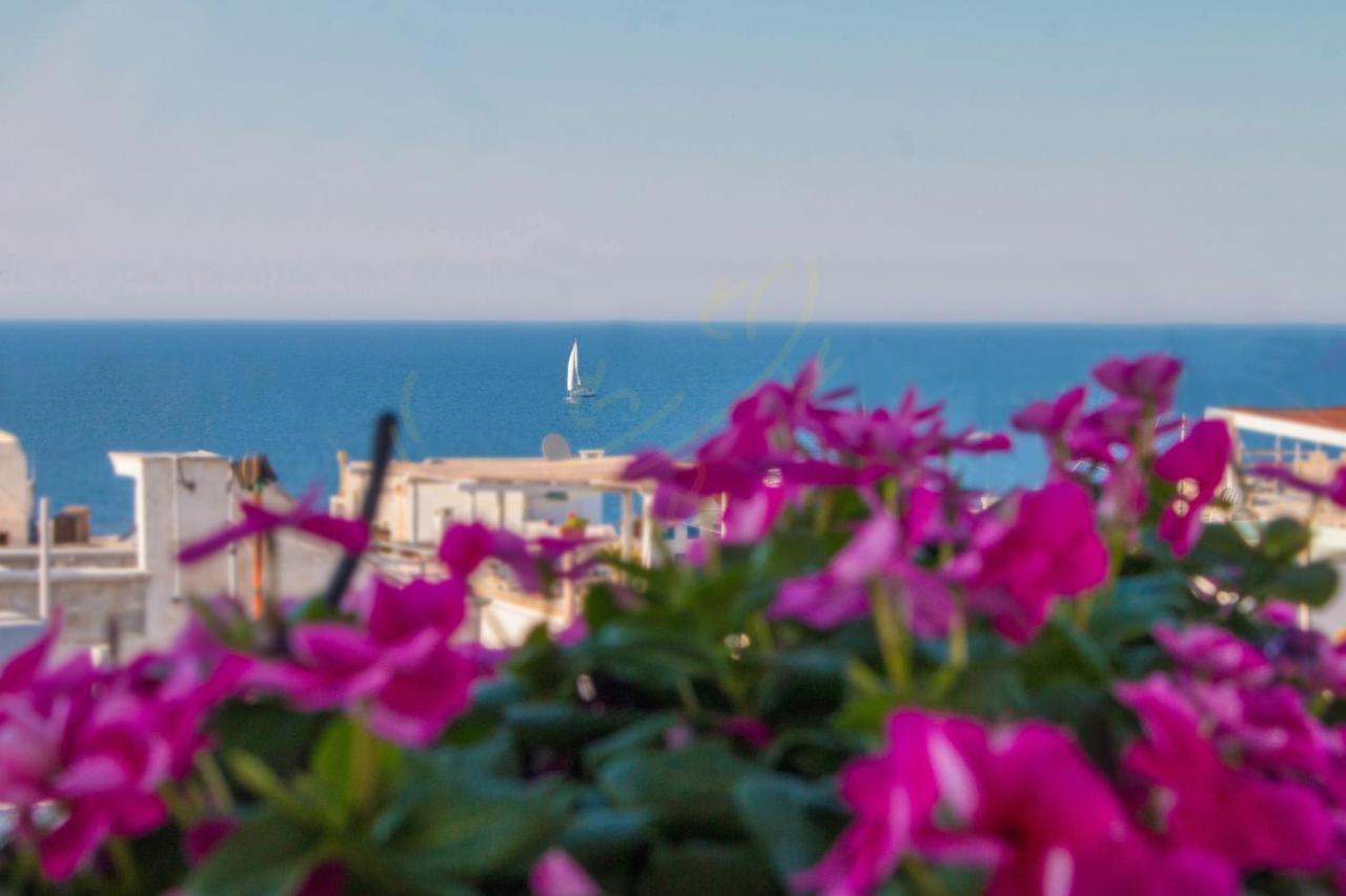 Td Casa Reina In The Historic Center With Terrace Polignano a Mare